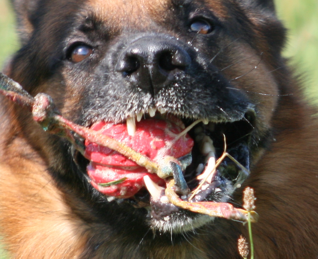 ich und mein Ball