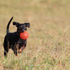 Ich und mein Ball