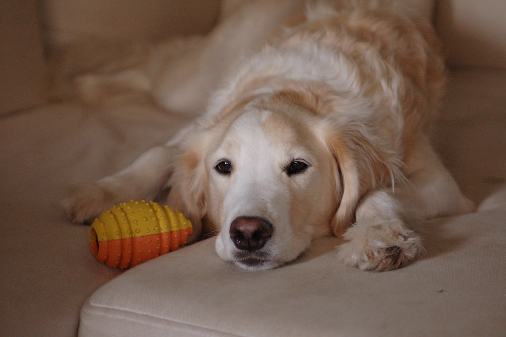 Ich und mein Ball...