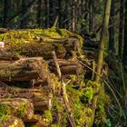 ich und mein Holz.... Glücklich jener der Holz, und einen Holzofen hat.