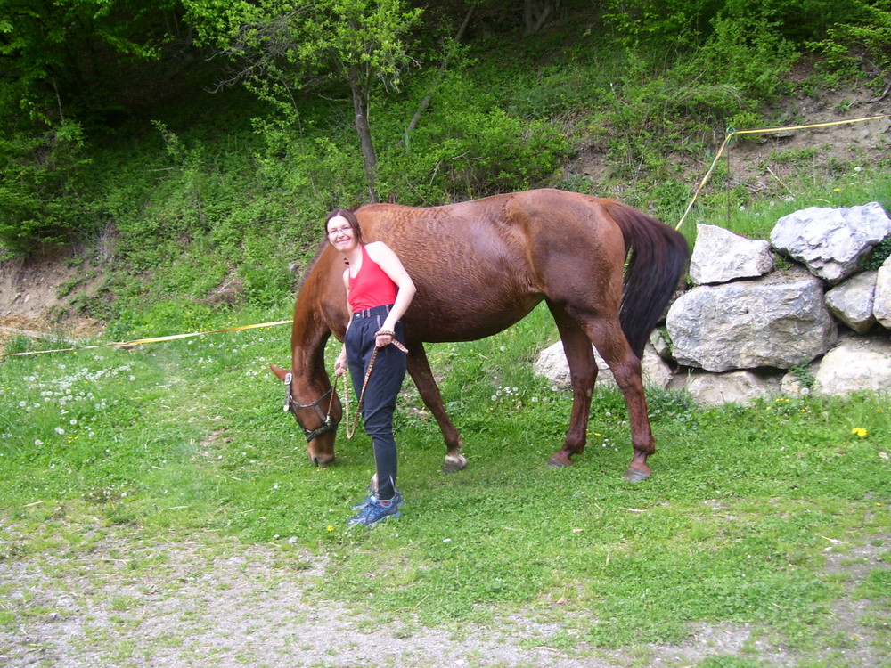 ich und mein pferd