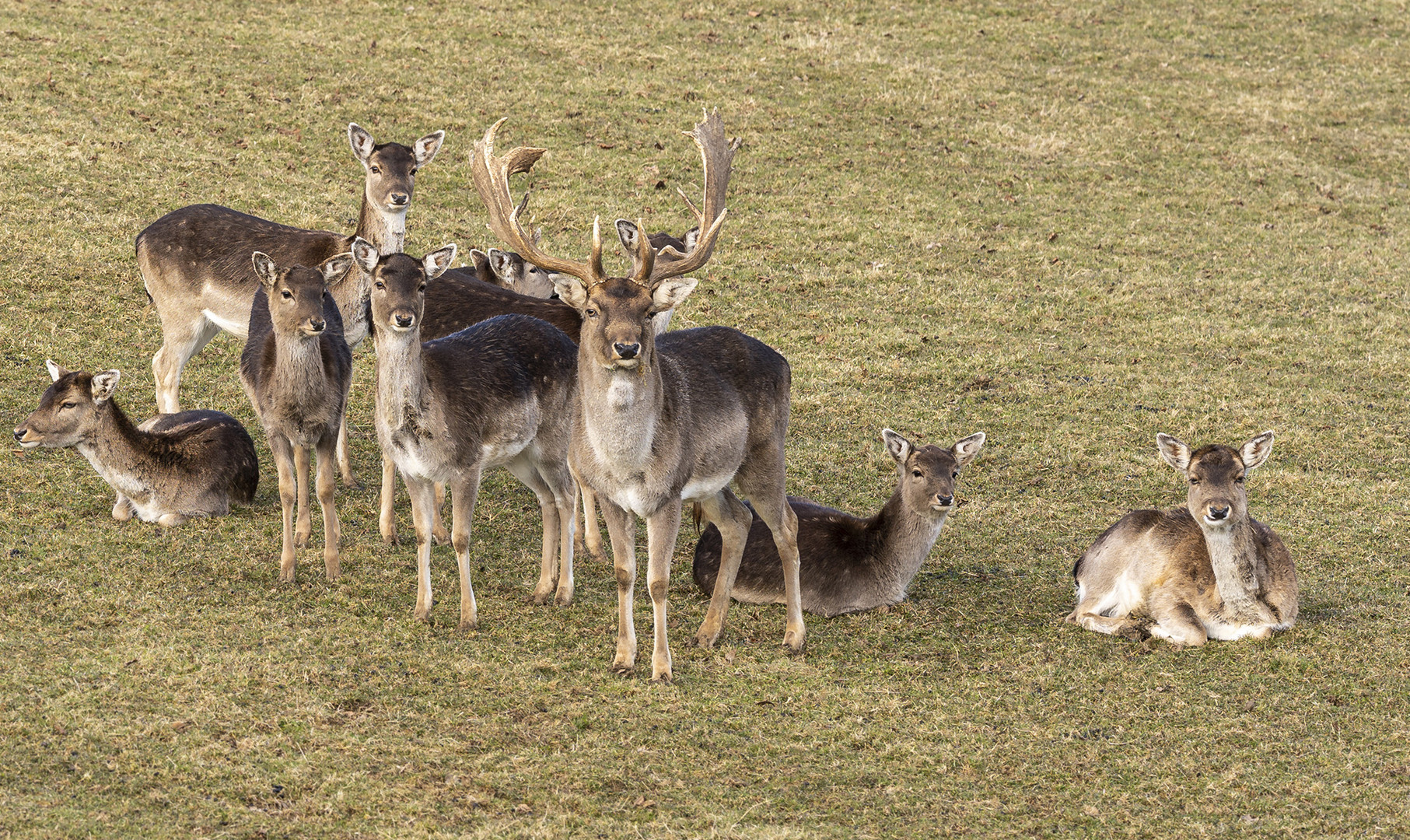 ich und meine Familie