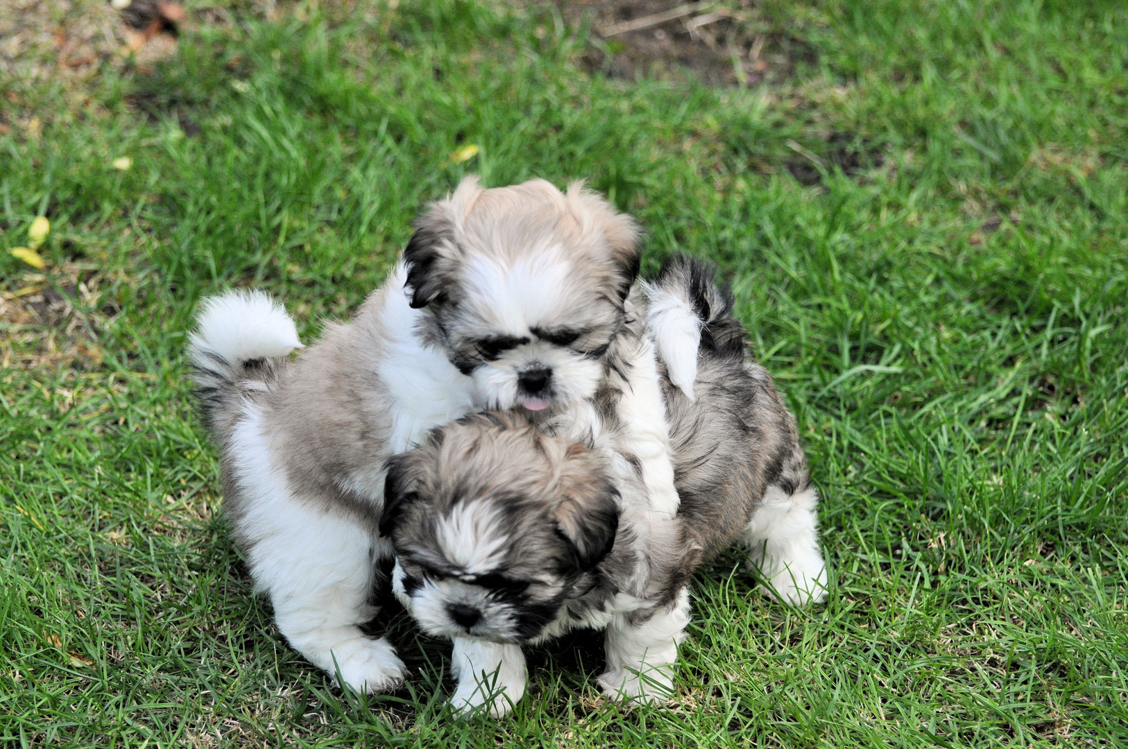 Ich und meine Schwester.