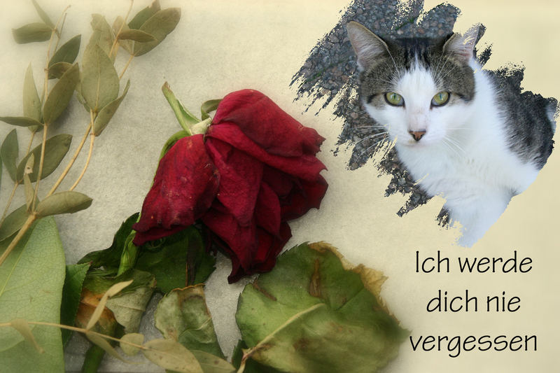 ...Ich vermisse dich...