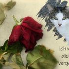 ...Ich vermisse dich...