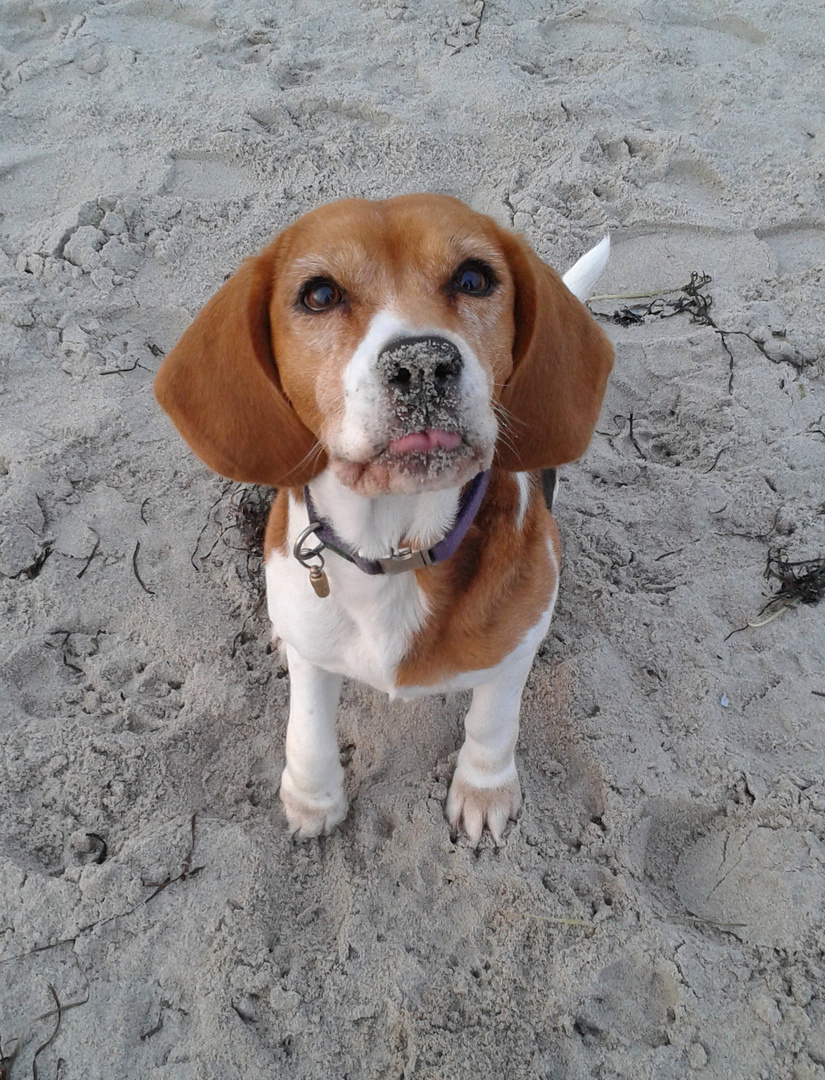 Ich war auch am Strand !