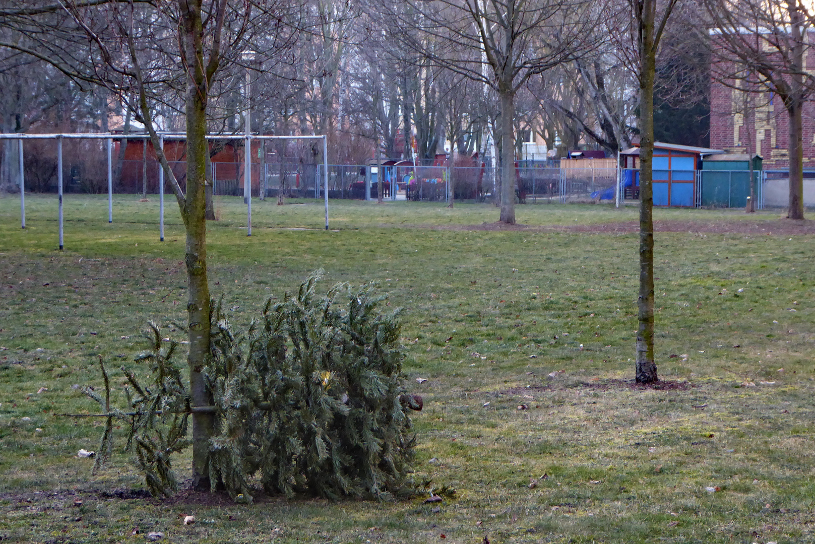 Ich war ein Weihnachtsbaum...