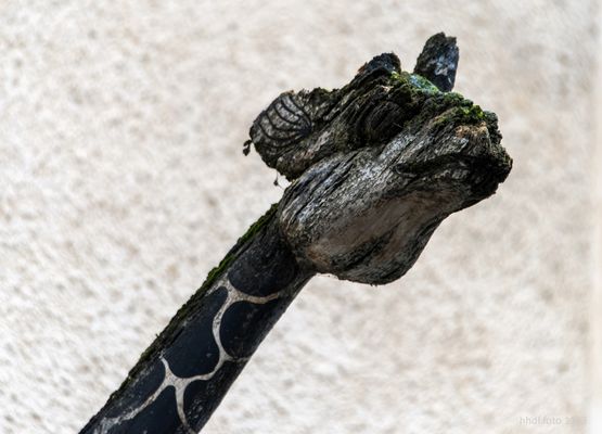 Ich war eine Deko-Giraffe!