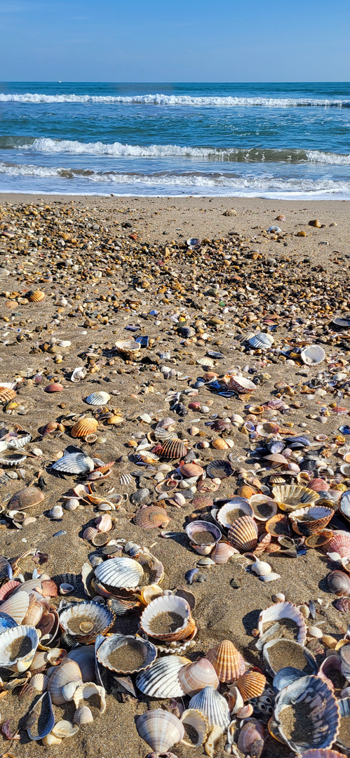 Ich war heute auch am Strand 