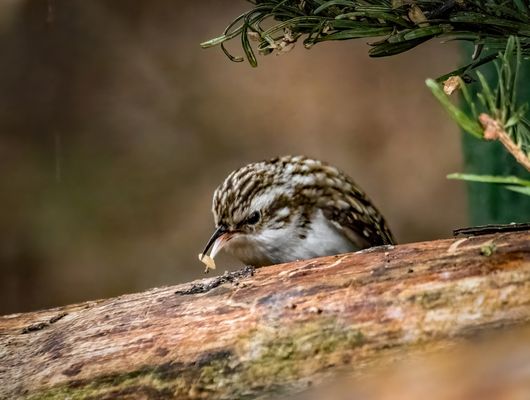 "Ich war ja froh, dass es noch so wurde"