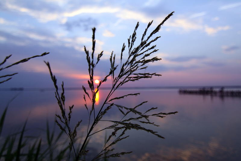 ° Ich war mal wieder am Steinhuder Teich °