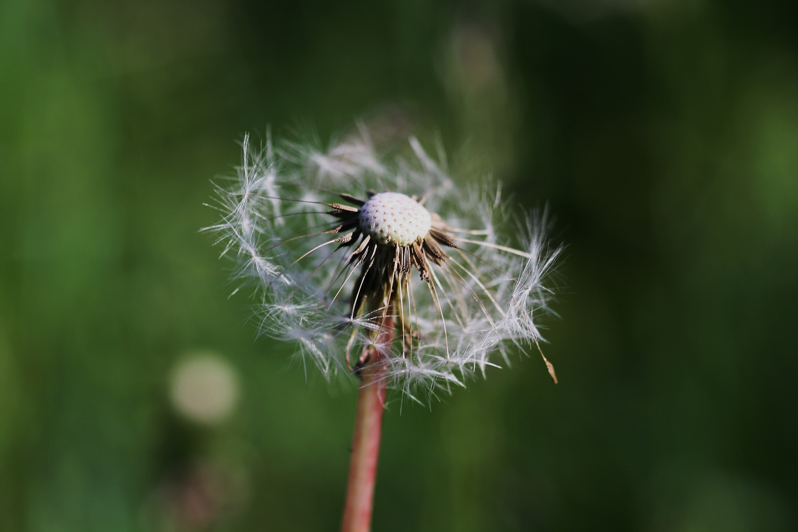 Ich war mal wieder in der Natur