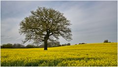 die 100 neusten Foto