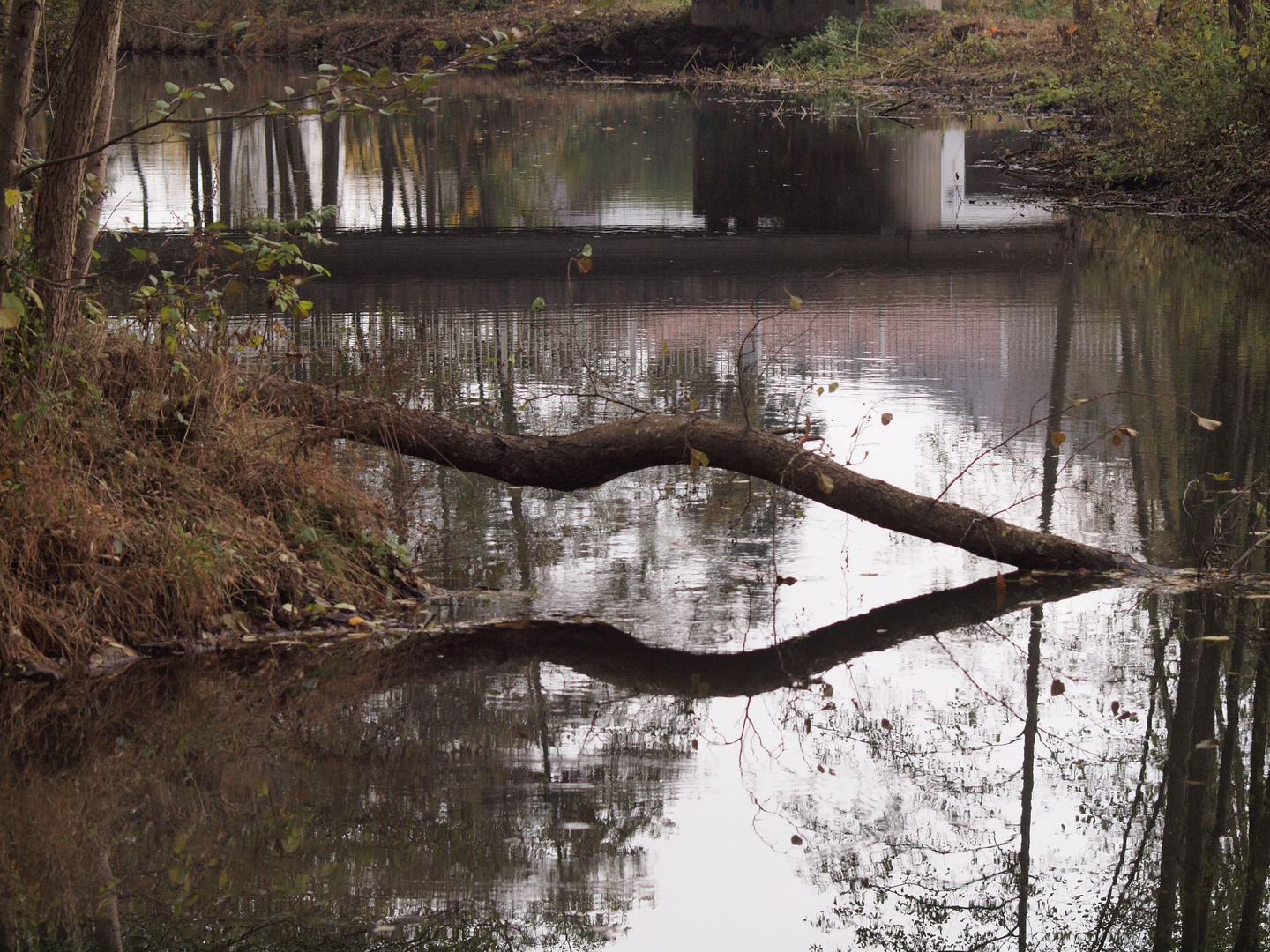 Ich war nur ein Stück Holz im Fluss Deines Leben.. ..