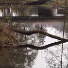 Ich war nur ein Stück Holz im Fluss Deines Leben.. ..