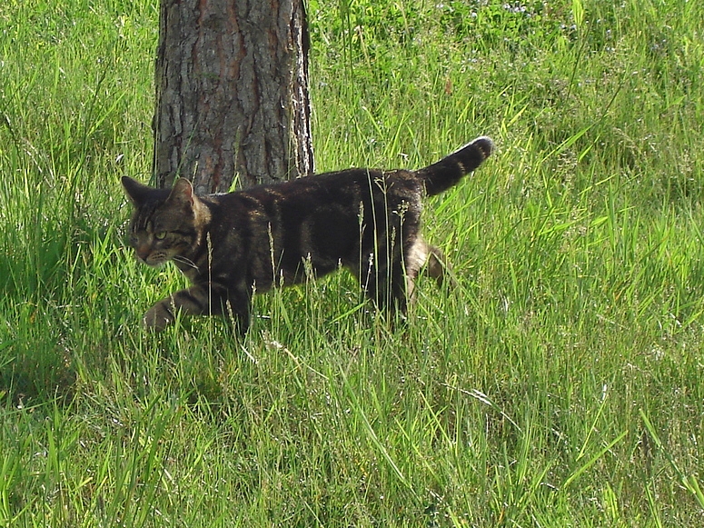 Ich war nur mal kurz zu Besuch....