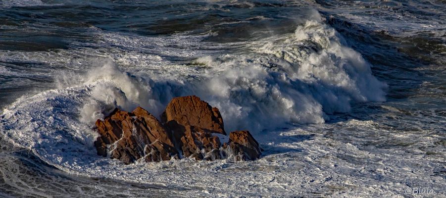 Ich war wie in einem Rausch....