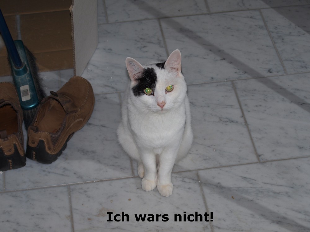 Ich wars nicht!