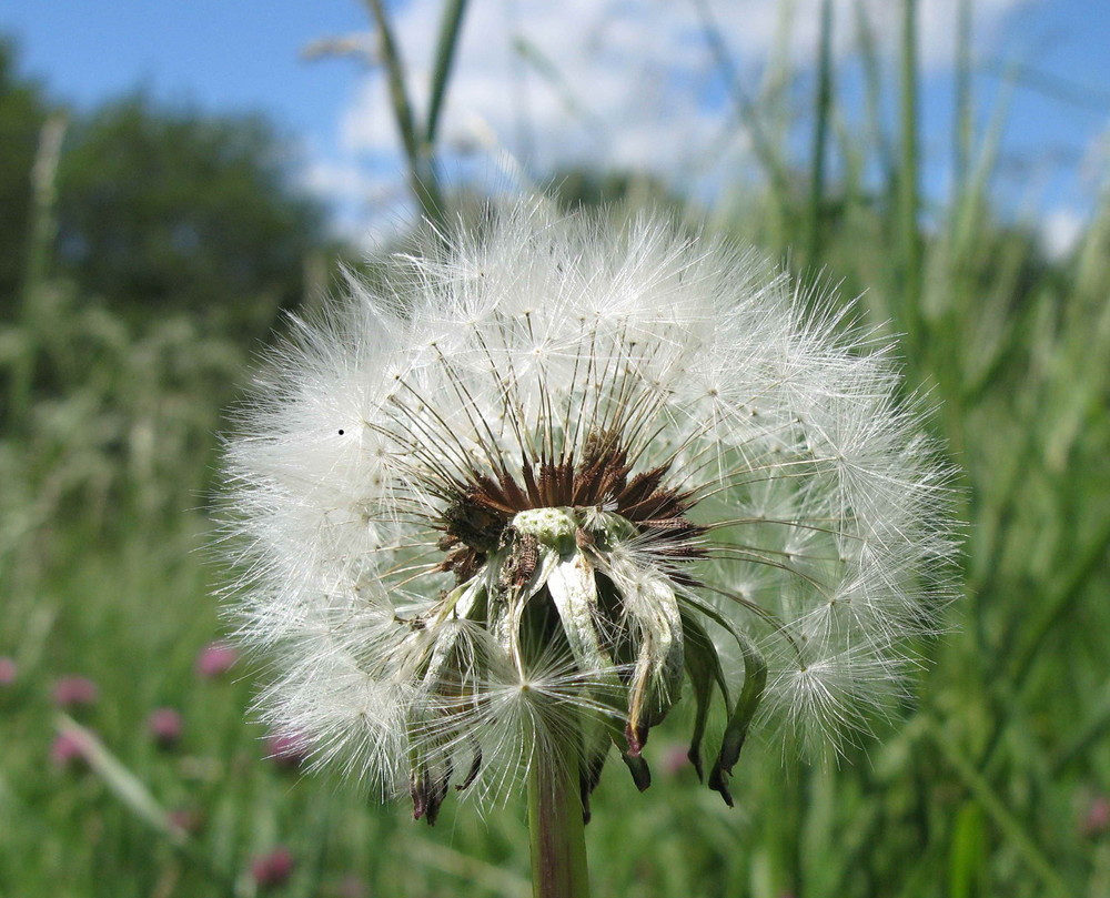 Ich warte auf den Wind