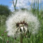 Ich warte auf den Wind