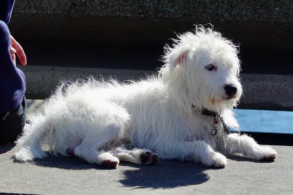 ... ich warte hier ...