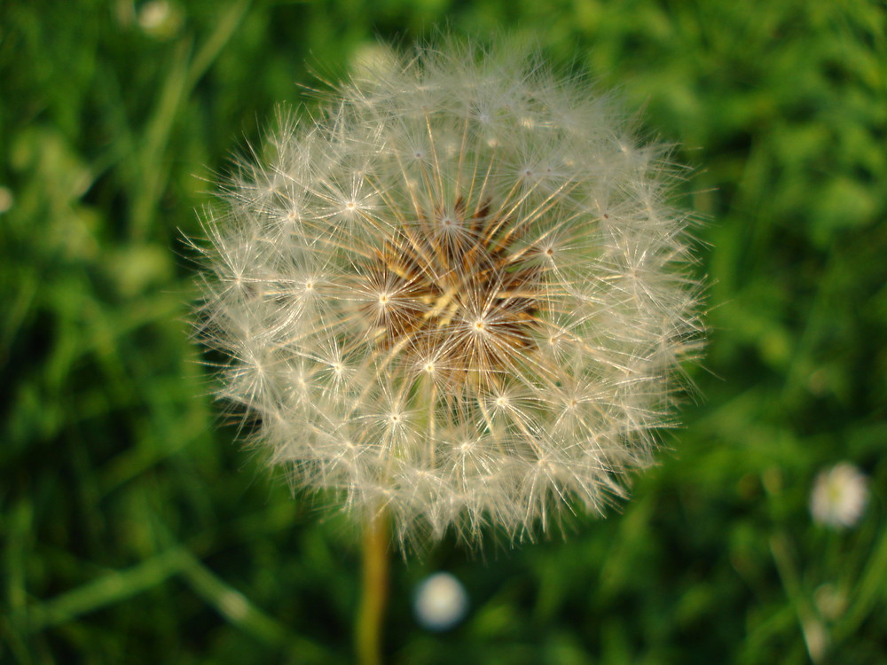 Ich warte nur auf den nächsten Windst ......