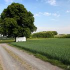 Ich weiß eine liebe Kapelle...