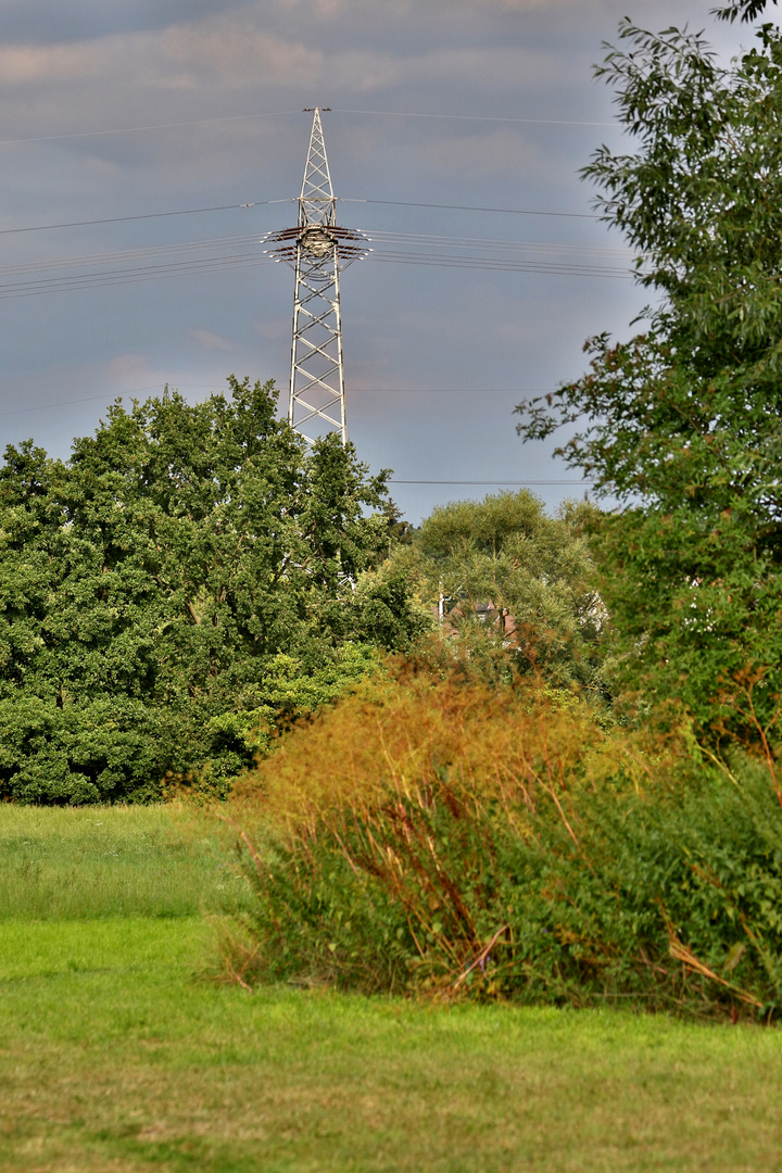 "ich weiß ...... Strom brauchen wir ja auch, ABER ........"