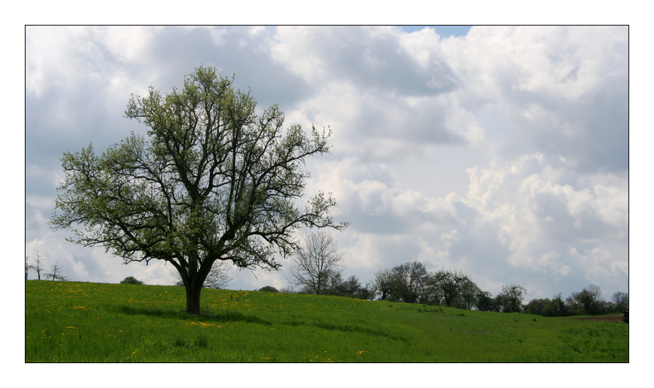 Ich werde auch noch grün, wenn diese Wolken regen bringen!