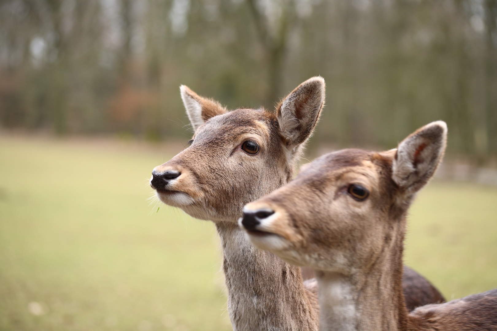 ich will auch mit aufs Foto!!