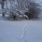 ich will den Schnee zurück ...