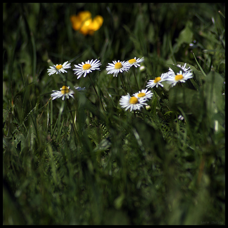 ich will frühling!!!!!