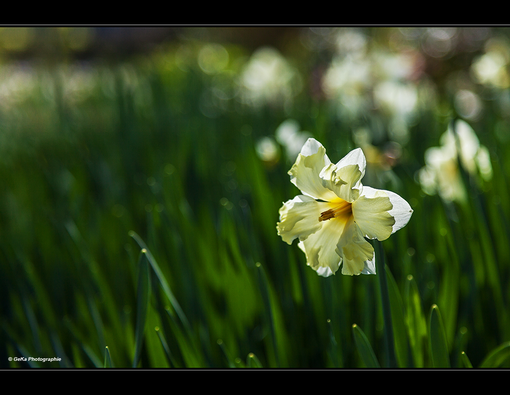 ich will Frühling!