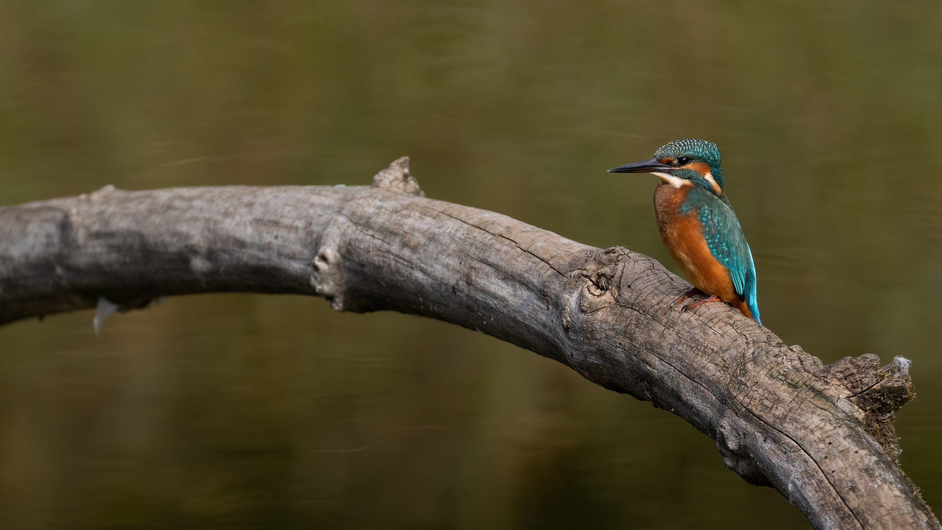 Ich will hier nur sitzen Foto