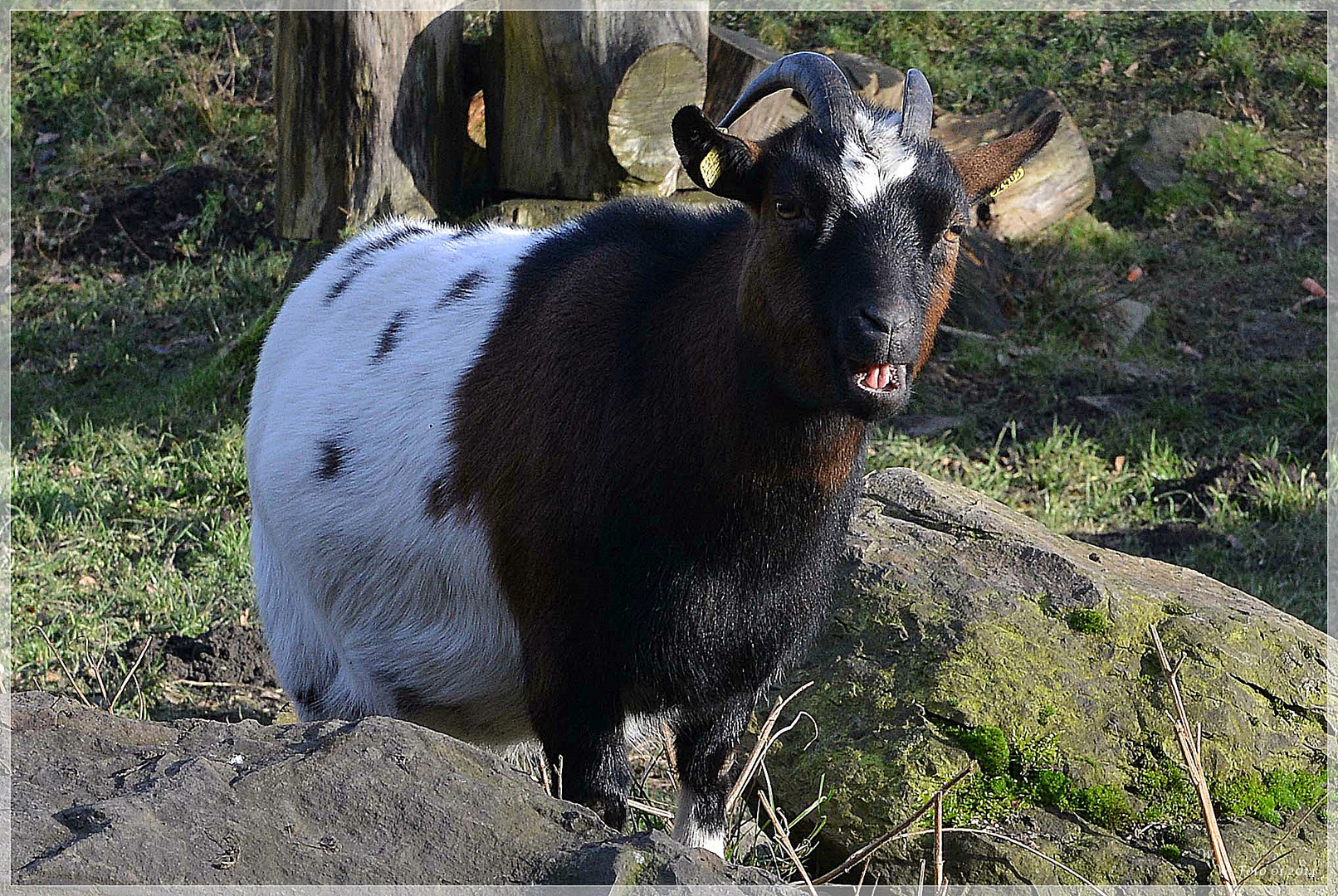 Ich will ja nicht meckern,...