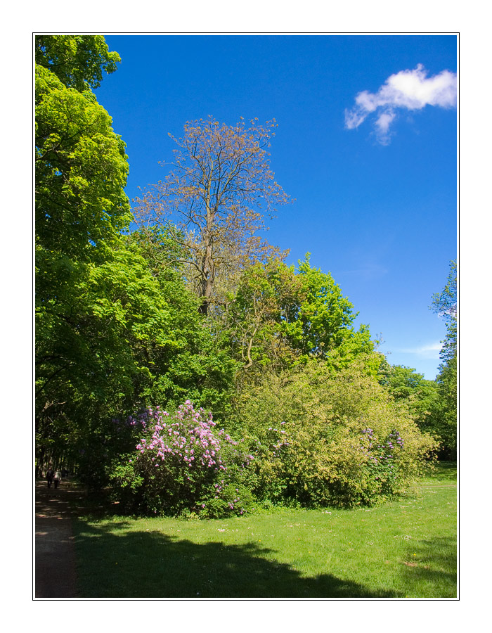 Ich will jetzt Frühling