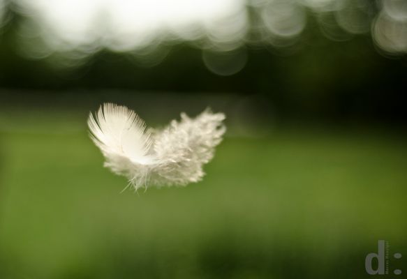 ich will nur schweben