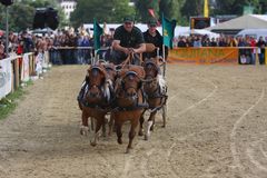 Ich will Spass, ich geb Gas! Equitana2008/#16