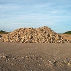 "Ich will unbedingt irgendwann ein Berg sein"