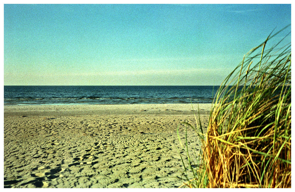 Ich will zurück zum Meer, wo der Wind mich krault und meinen wahren Namen kennt