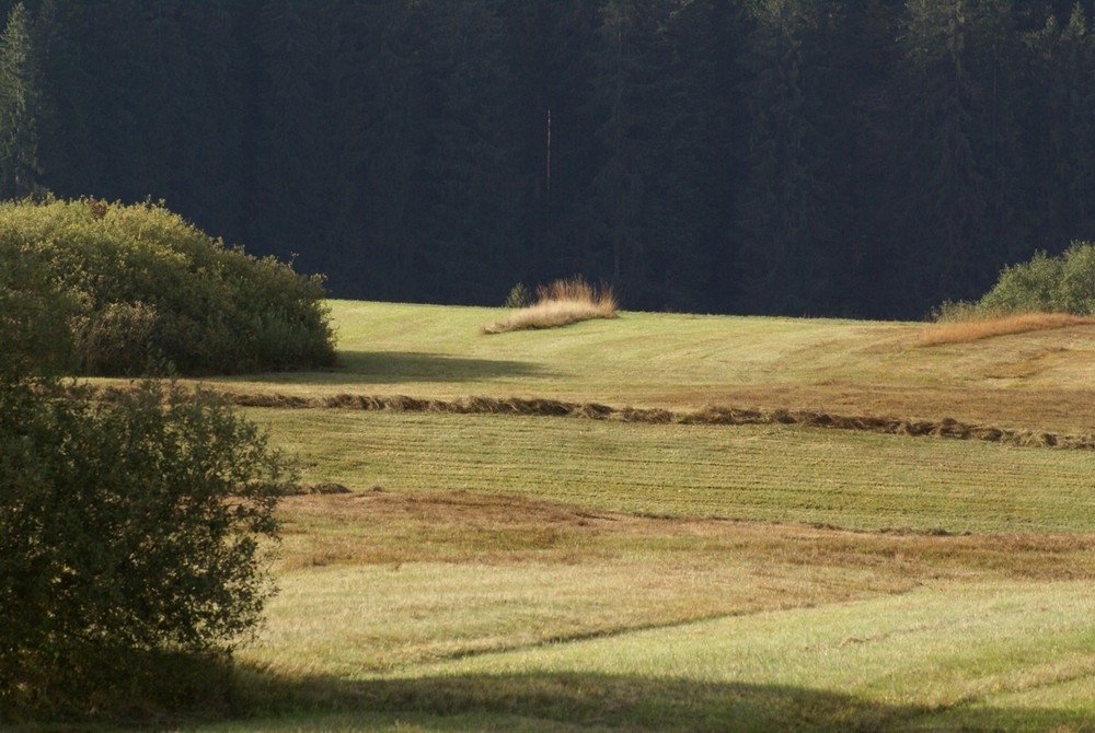 ... ich wollt, es wär' schon wieder Sommer