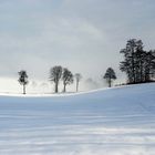 Ich wollt es wäre Winter