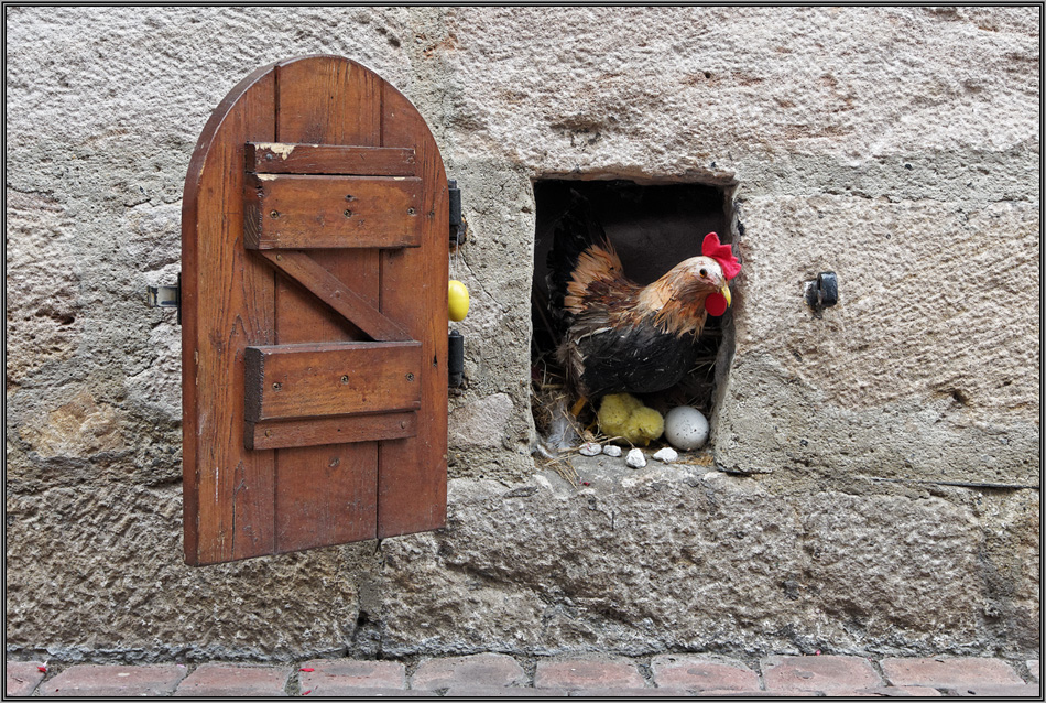 Ich wollt' ich wär' ein Huhn