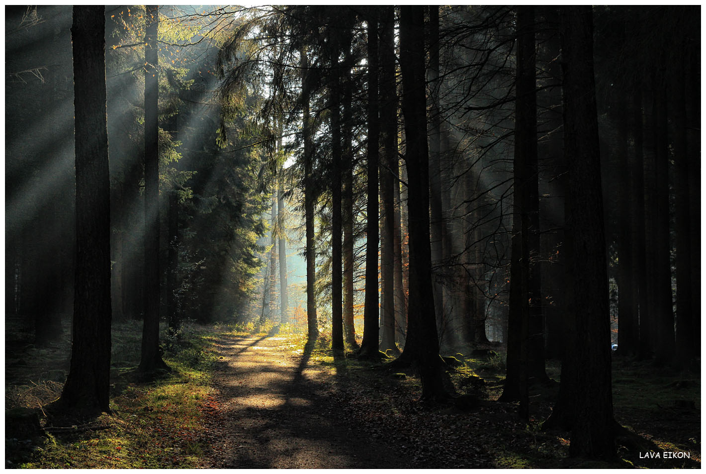 Ich wollte so gerne deine Sonne sein, ...