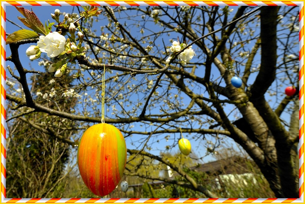 Ich wünsch Euch ein Frohes Osterfest