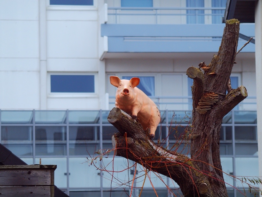 Ich wünsch Euch viel Schwein für die Woche