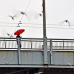 ich wünsch mir Regen