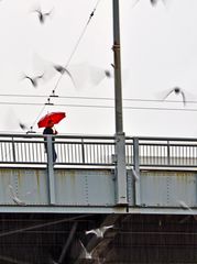 ich wünsch mir Regen