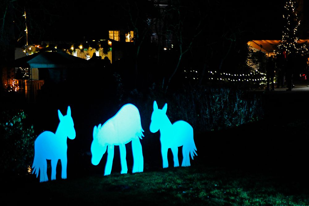 Ich wünsche Allen ein fröhliches, besinnliches Fest sowie einen 