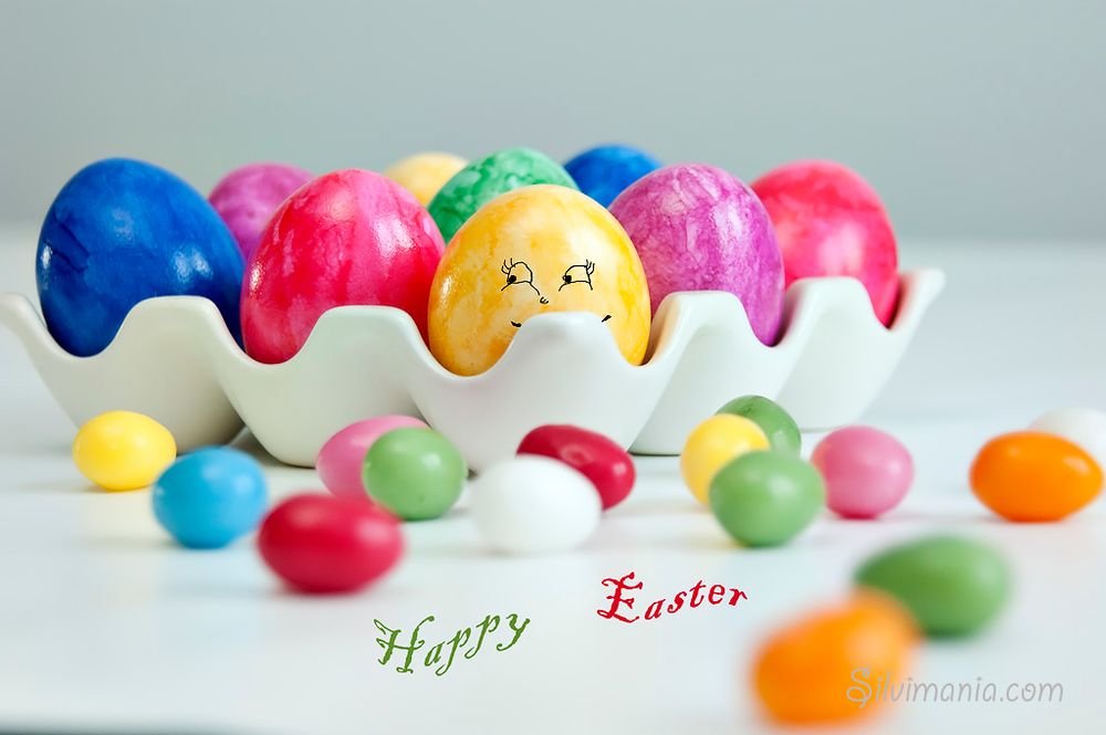 Ich wünsche allen ein frohes Osterfest! Foto &amp; Bild gratulation und